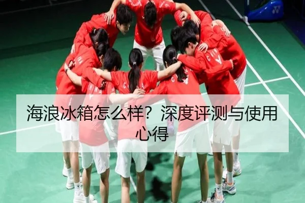 海浪冰箱怎么样？深度评测与使用心得