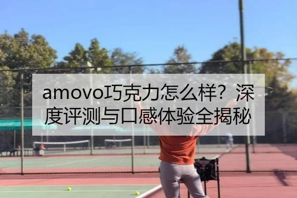 amovo巧克力怎么样？深度评测与口感体验全揭秘