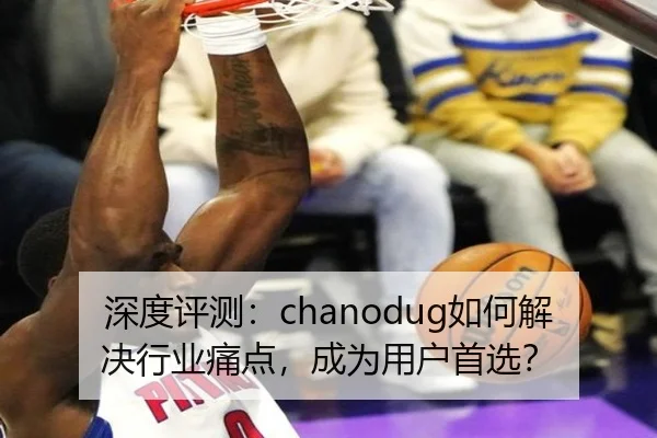 深度评测：chanodug如何解决行业痛点，成为用户首选？