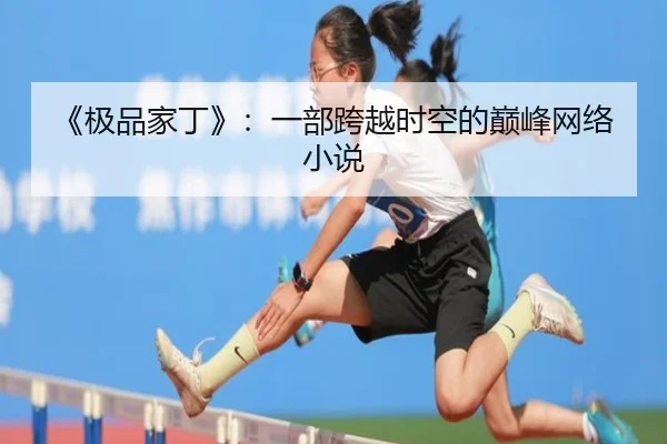 《极品家丁》：一部跨越时空的巅峰网络小说
