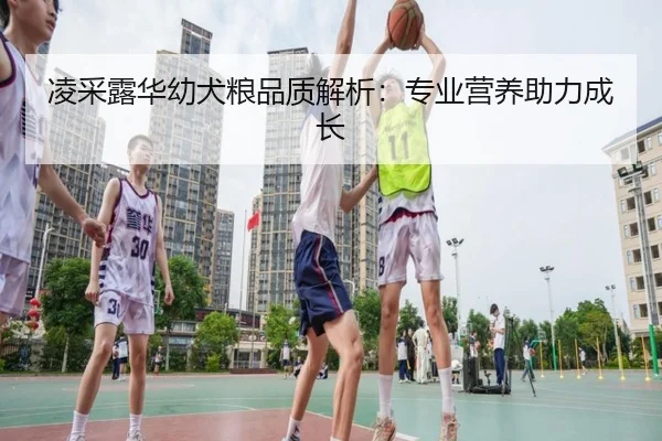 凌采露华幼犬粮品质解析：专业营养助力成长