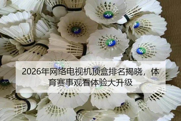 2026年网络电视机顶盒排名揭晓，体育赛事观看体验大升级